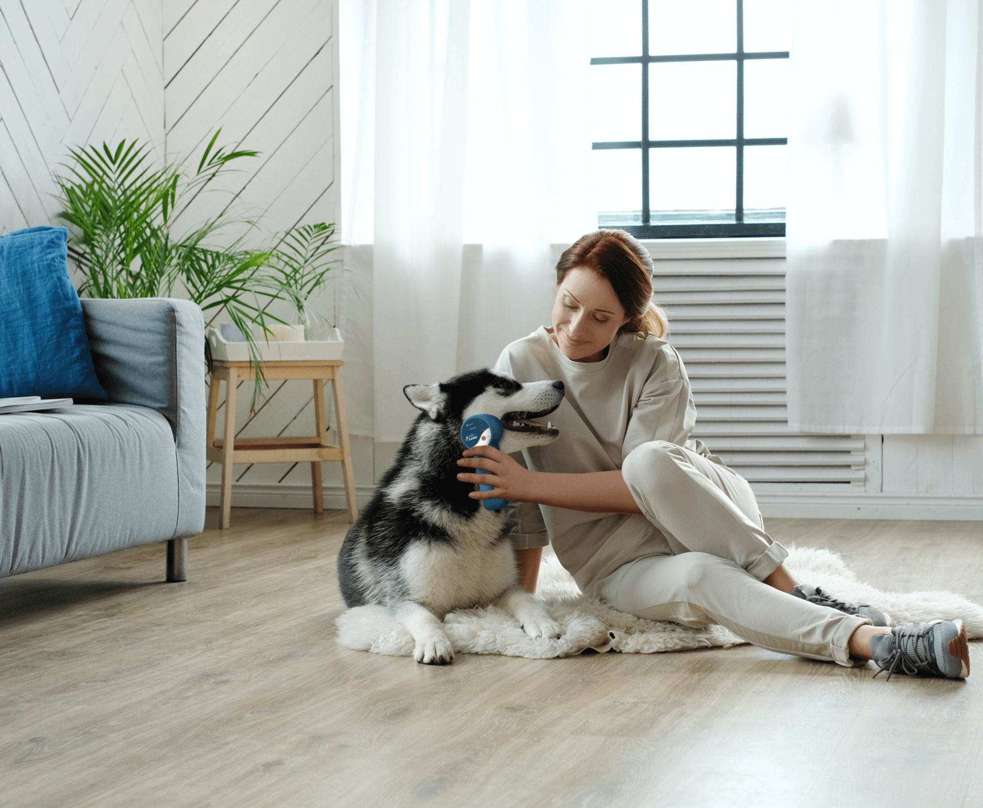 A calm at-home moment with MyPetLaser